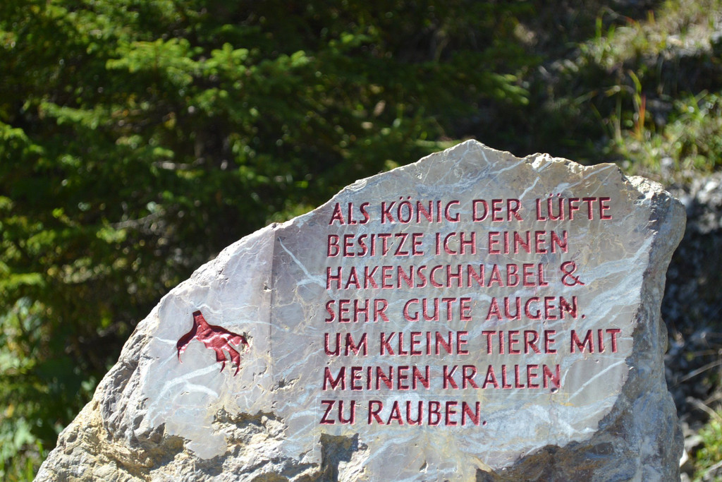 DSC_0559.JPG