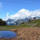 DSC_2462.jpg