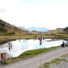 DSC_2499.jpg