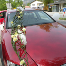 DSCN0473.JPG