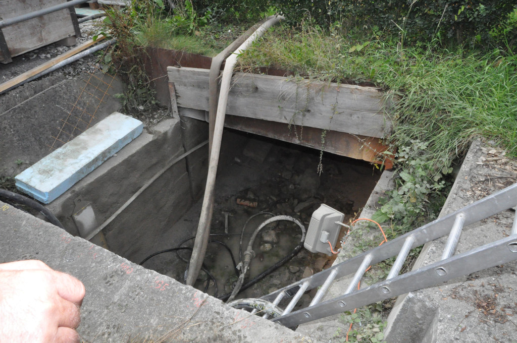 DSC_0011.JPG