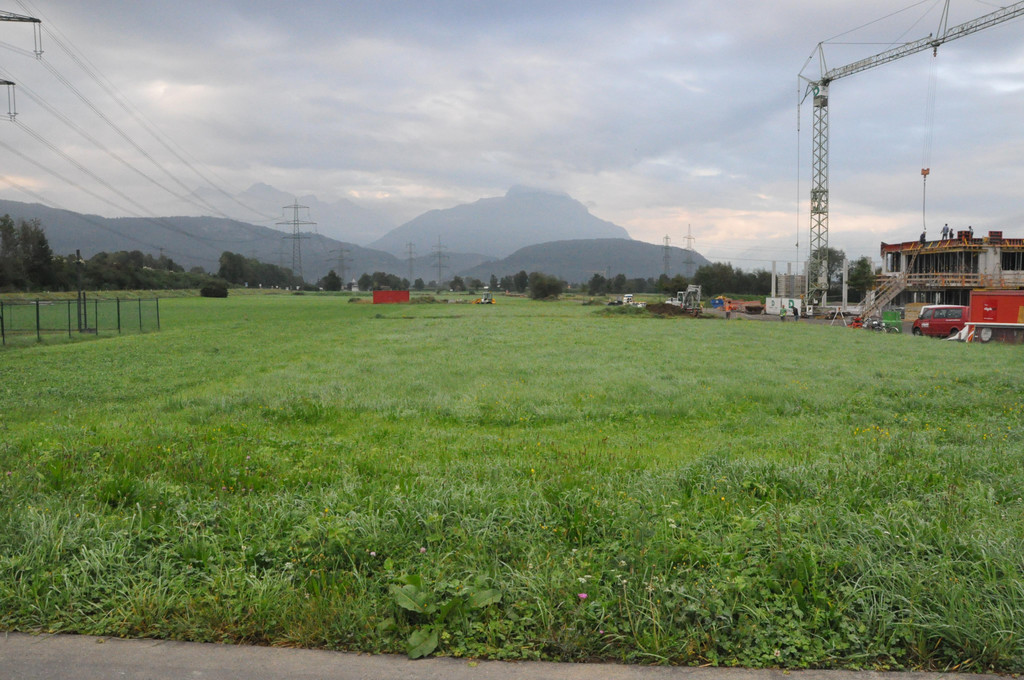 DSC_0011.JPG