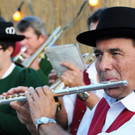 Musikfest Ho__chst 13-09-2014 448.jpg