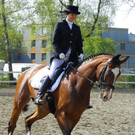 Dressurreiten