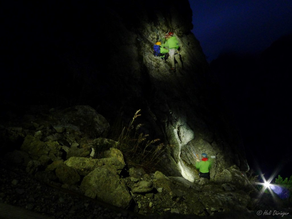 P1130421 _Medium_.JPG