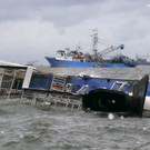IBD0176-20140915.jpg