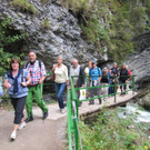 Jahrgang 1948 Breitachklamm 010.jpg