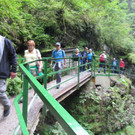 Jahrgang 1948 Breitachklamm 011.jpg