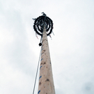 a Maibaum 2010 29_jpg-1272716687