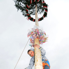 a Maibaum 2010 4_jpg-1272716621