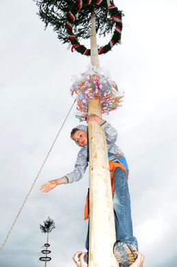 a Maibaum 2010 4_jpg-1272716621