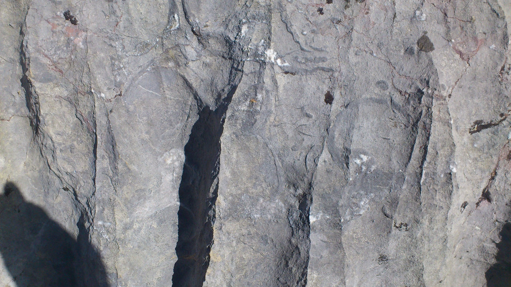 107.jpg