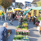 Hard 17-09-2014 12.jpg