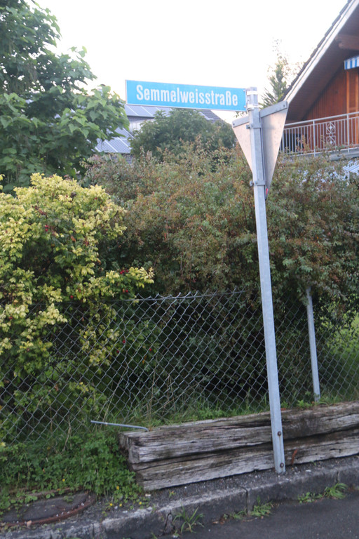 Semmelwei__stra__e1.JPG
