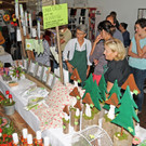 Frauenmarkt Hard 14-09-2014 14.jpg