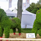 Festival der Tiere - Wien Donauinsel September 2014