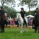Festival der Tiere.jpg