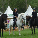 Festival der Tiere3.jpg