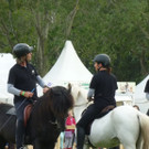 Festival der Tiere4.jpg